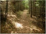 Globasnica / Globasnitz - Veška planina / Wackendorfer Alm